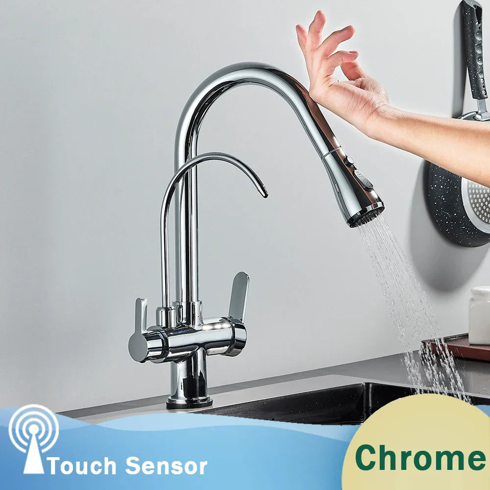 DecorBites™ Black Dual Modes Kitchen Faucet 2 in 1 Pure Water Mixer Tap