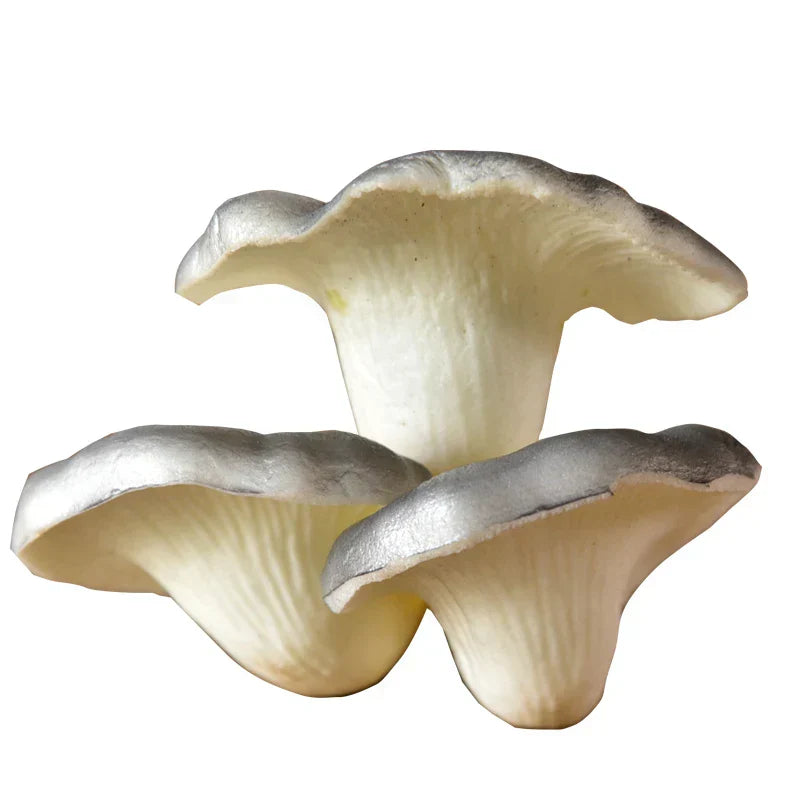 DecorBites™ Artificial Mushroom Fungus Hanging Tree Decor for Outdoor Gardens
