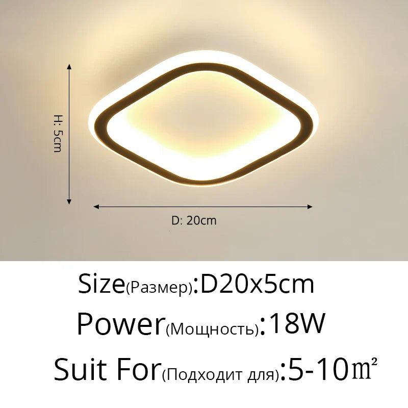 DecorBites™ Black Led Ceiling Light for Home Entryway - Modern Balcony Indoor Lamp