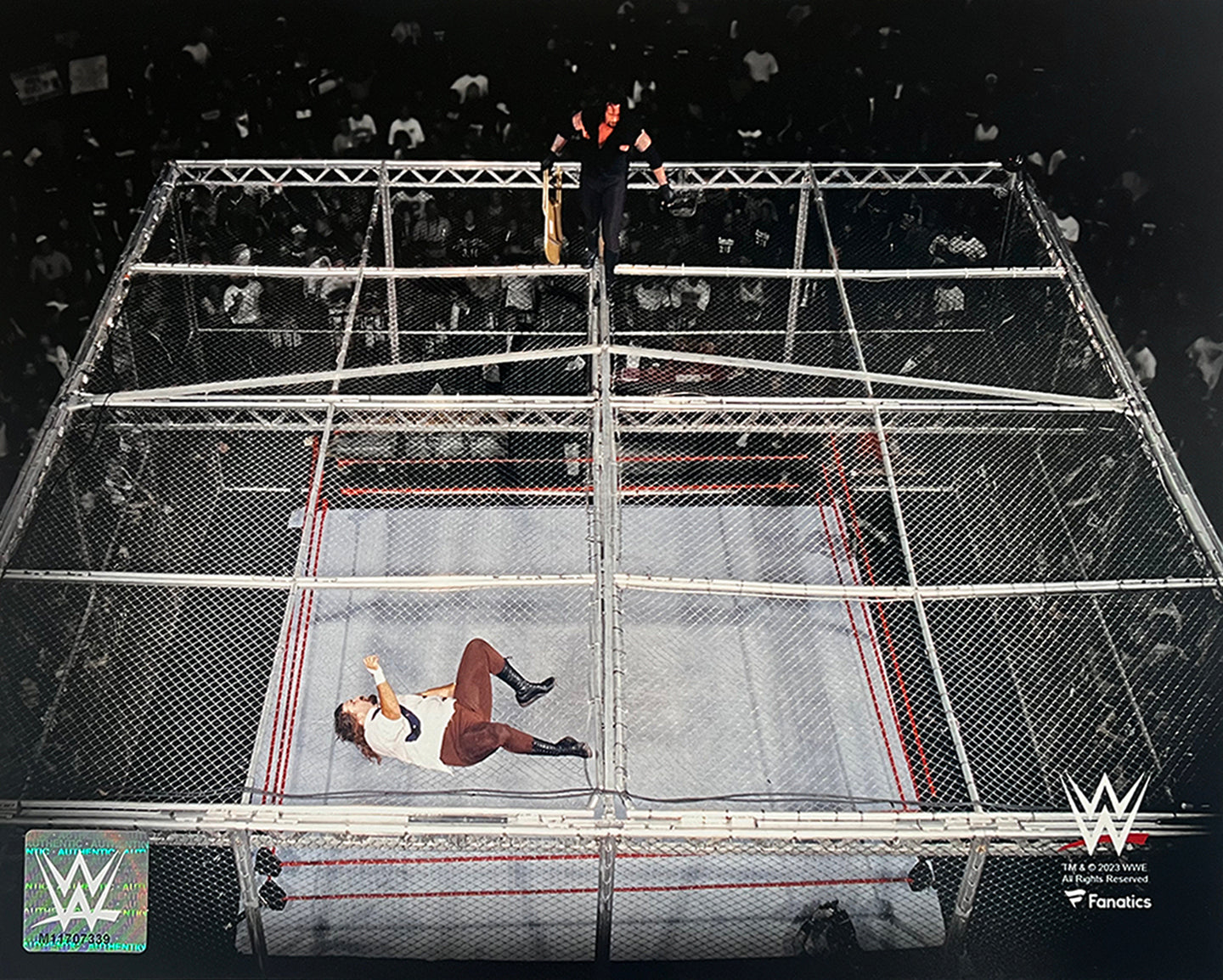 Mankind v. The Undertaker Hell in a Cell 8" x 10" WWE Wrestling Photo