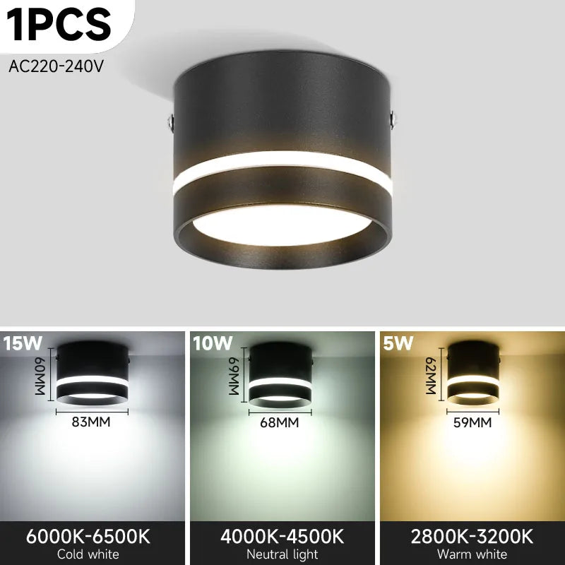 DecorBites™ LED Ceiling Chandelier Downlight for Home Lighting