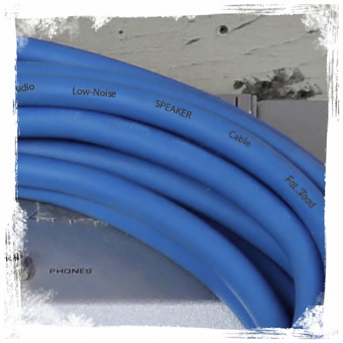 Speakon to 1/4" Male Cables (2 Pack) by FAT TOAD - 25 ft Professional Pro Audio Blue DJ Speaker PA Cord with Twist Lock Connector - 12 AWG Wire