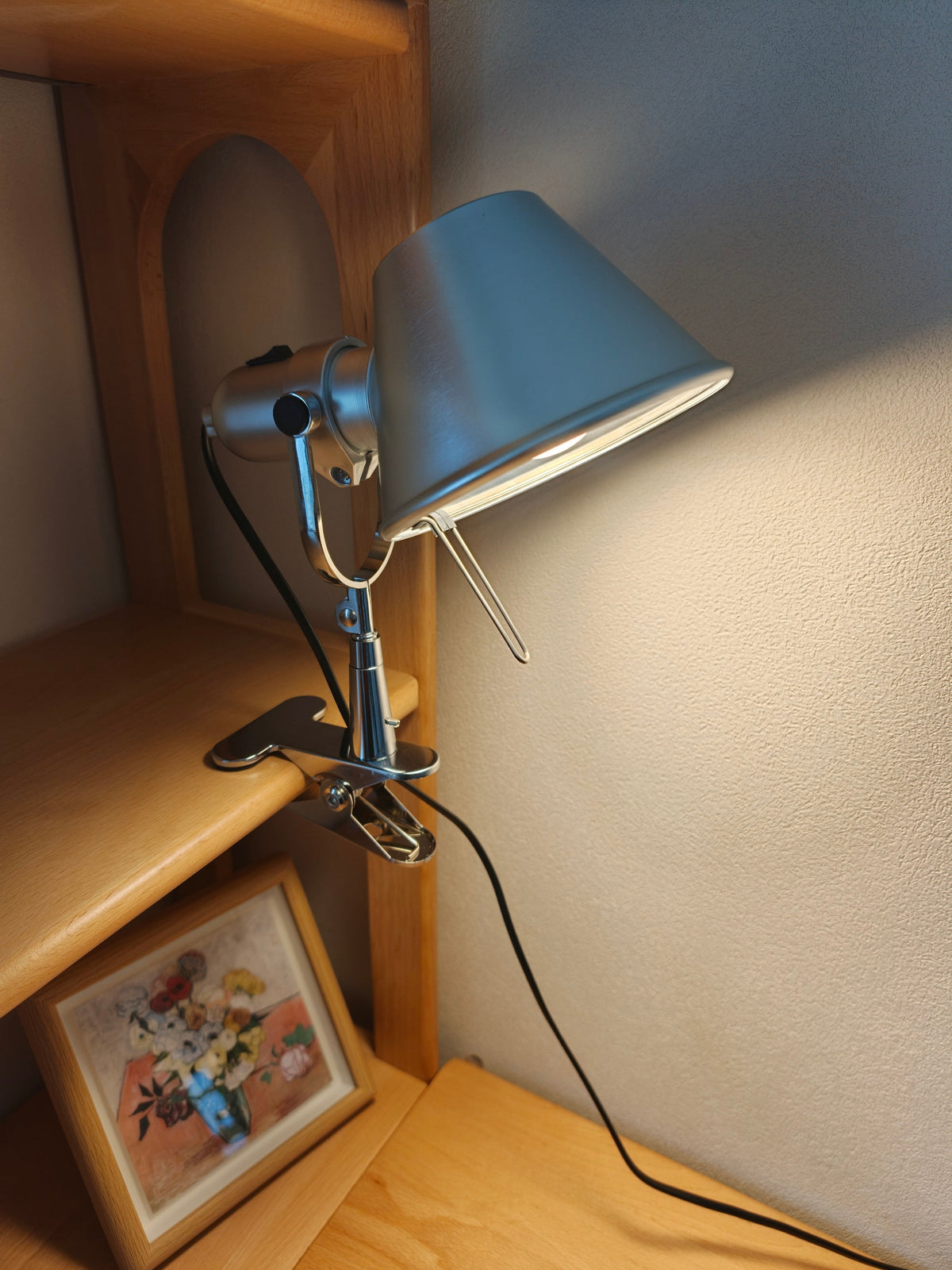 Tolomeo Pinza Clip Lamp