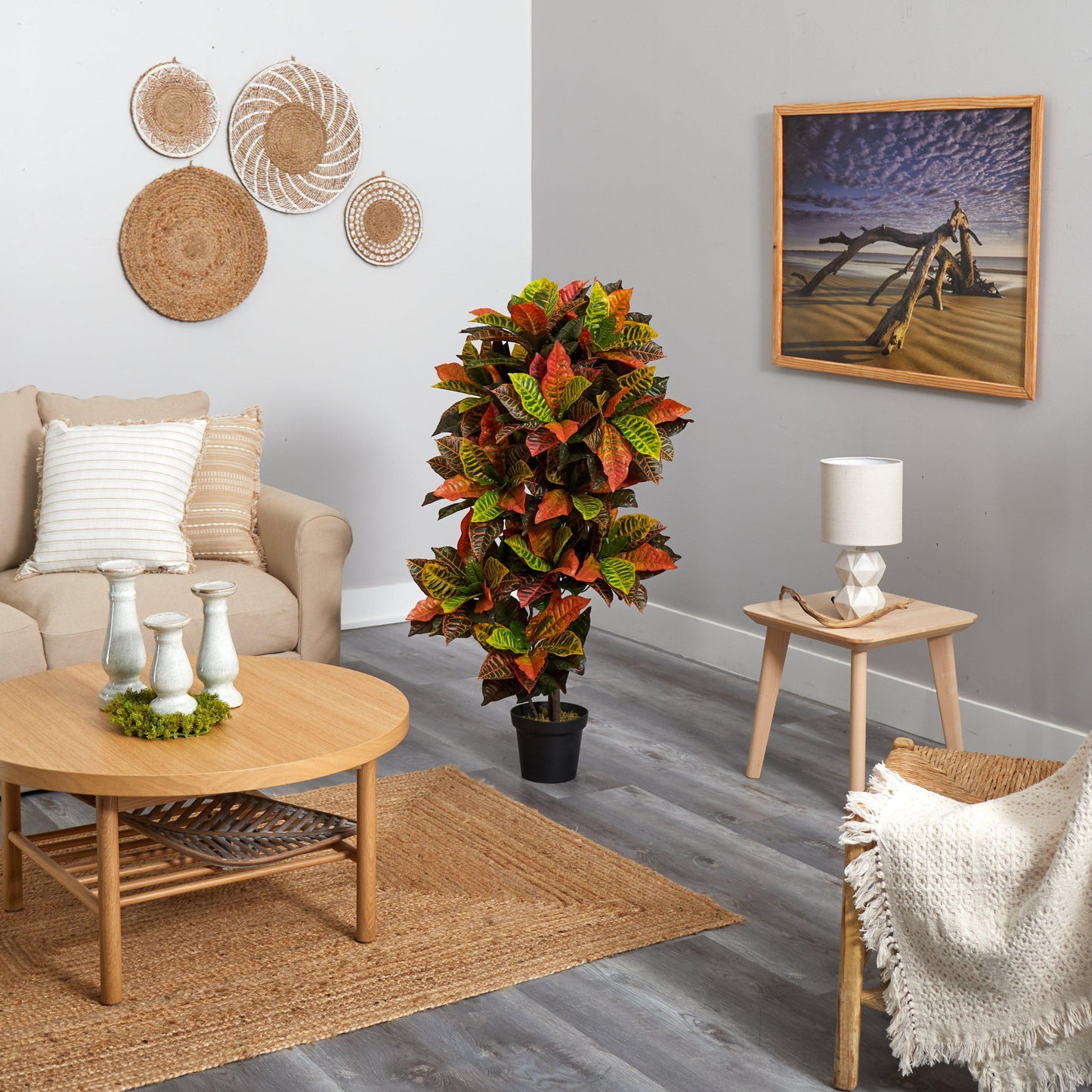 56β Croton Plant (Real Touch)
