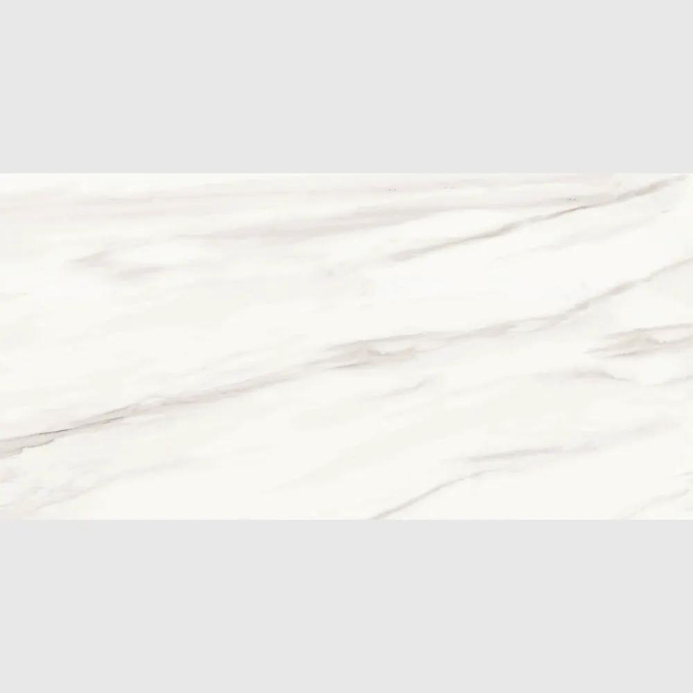 Carrara Venato Matte Porcelain Tiles 24x48