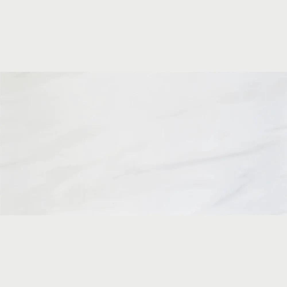 Carrara Venato Semi Gloss Porcelain Tiles 24x48