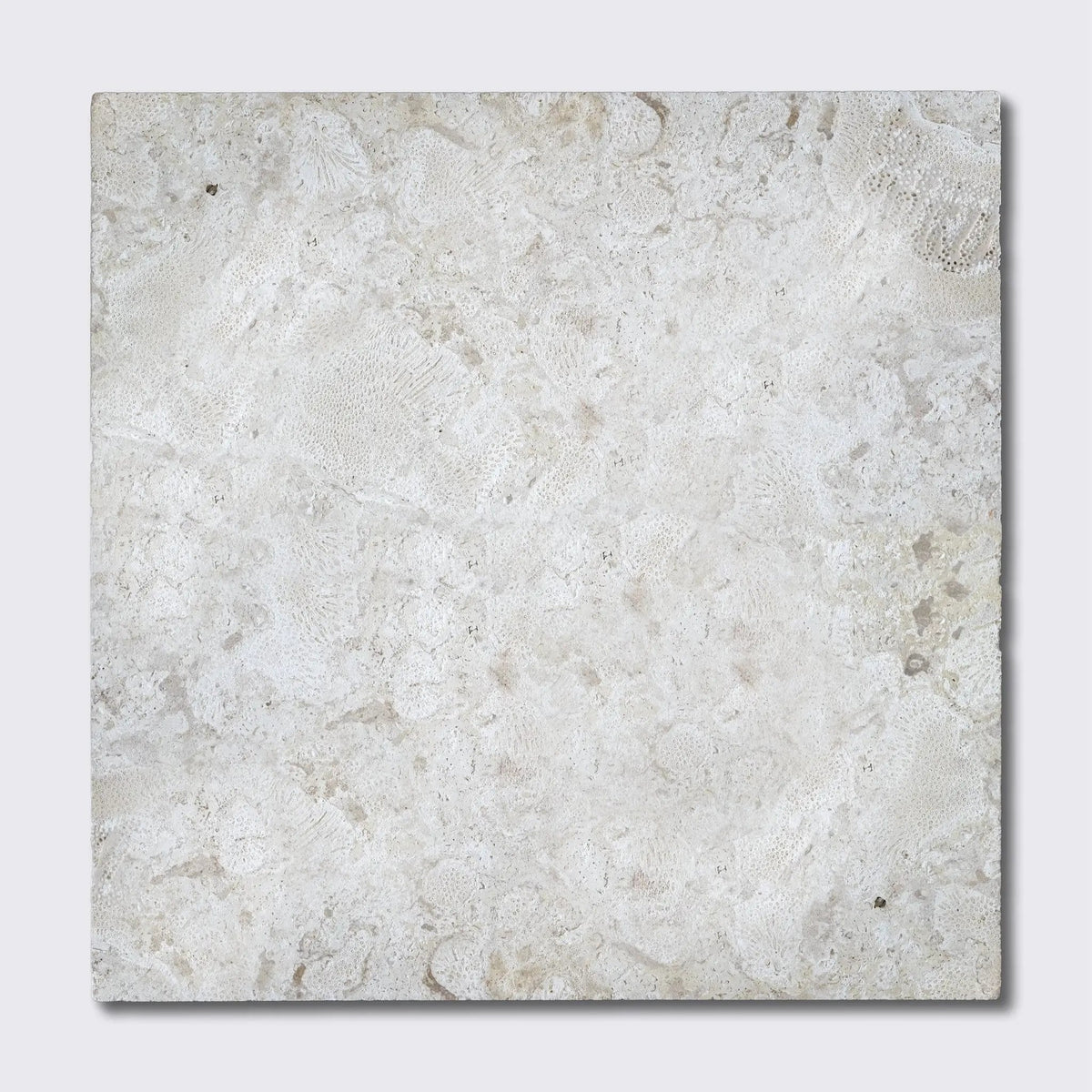 Coral Natural Flute Trim Tiles 24x24
