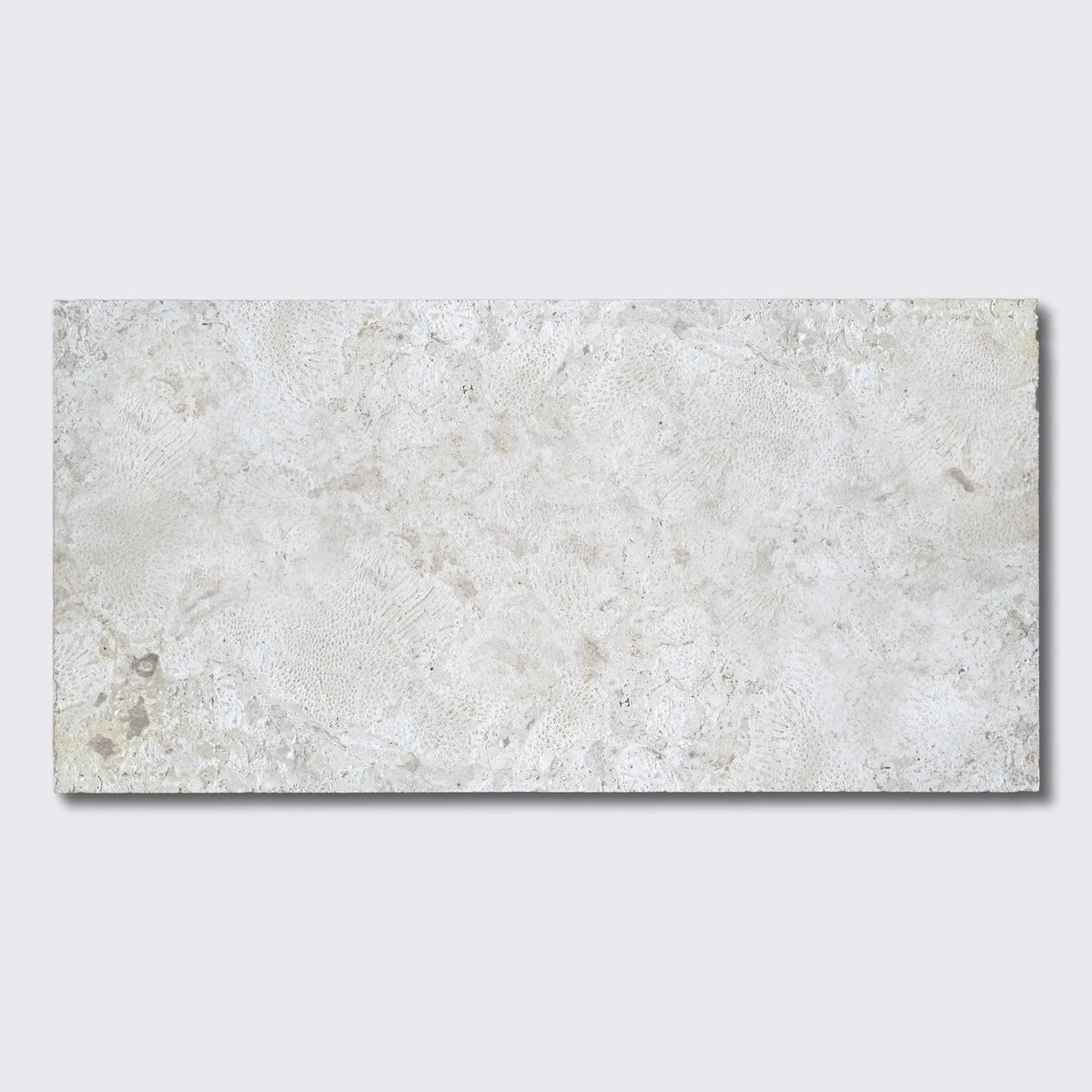 Coral Natural Pavers 16x24