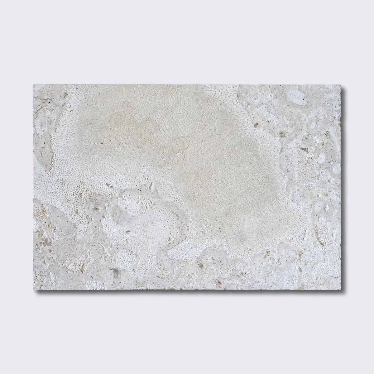 Coral White Natural Flute Trim Tiles 16x24