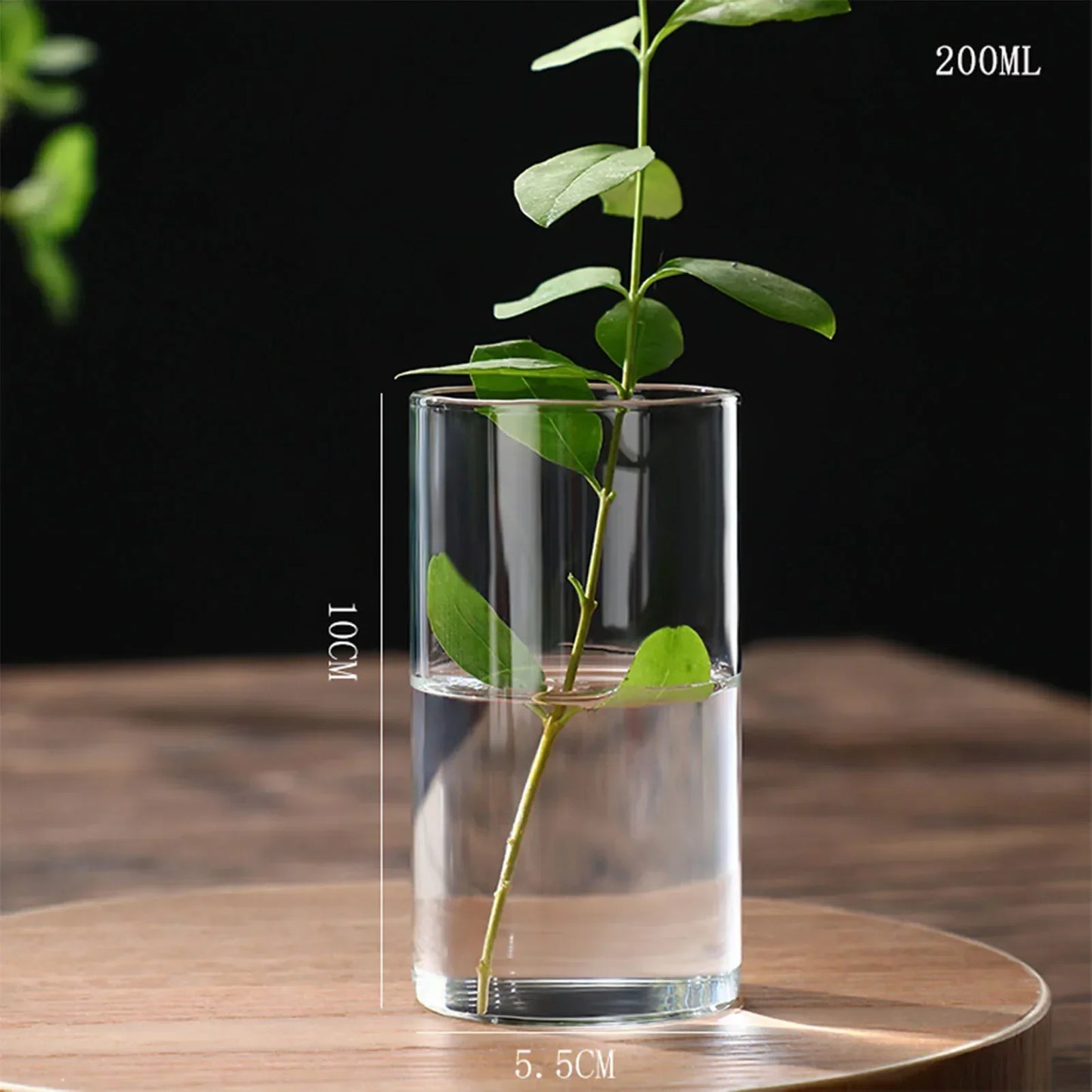 DecorBites™ Glass Hydroponic Desktop Planter Vase