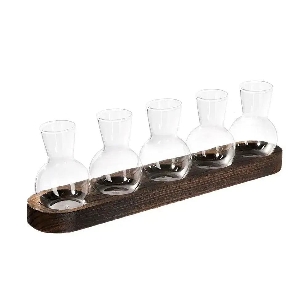 Modern hydroponic glass vases with wooden tray living room decor