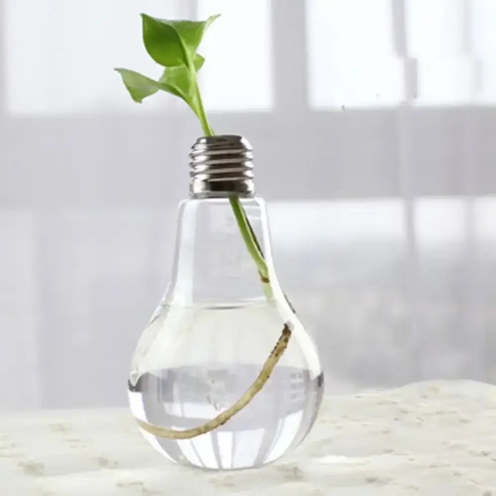 Modern tapered glass vase terrarium – living room decoration