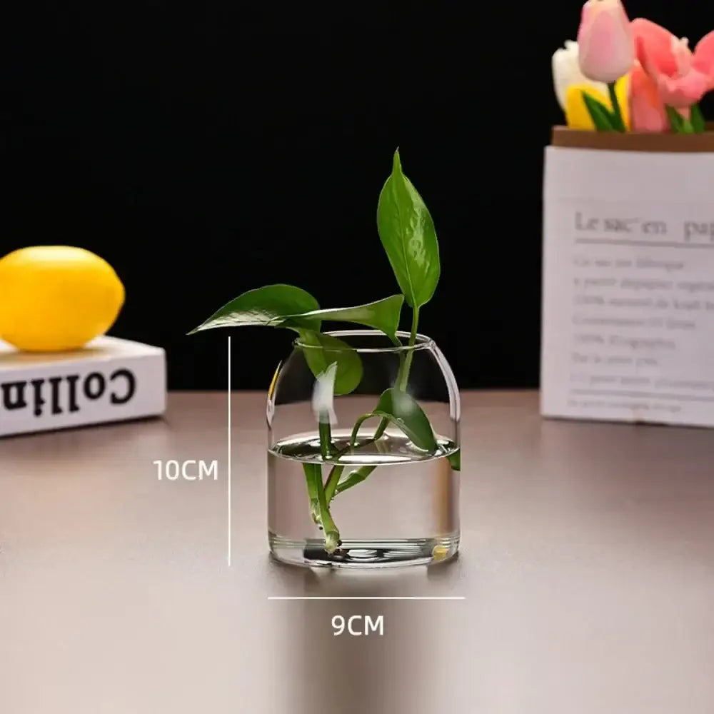 Modern hydroponic plant glass flower vase for living room decor