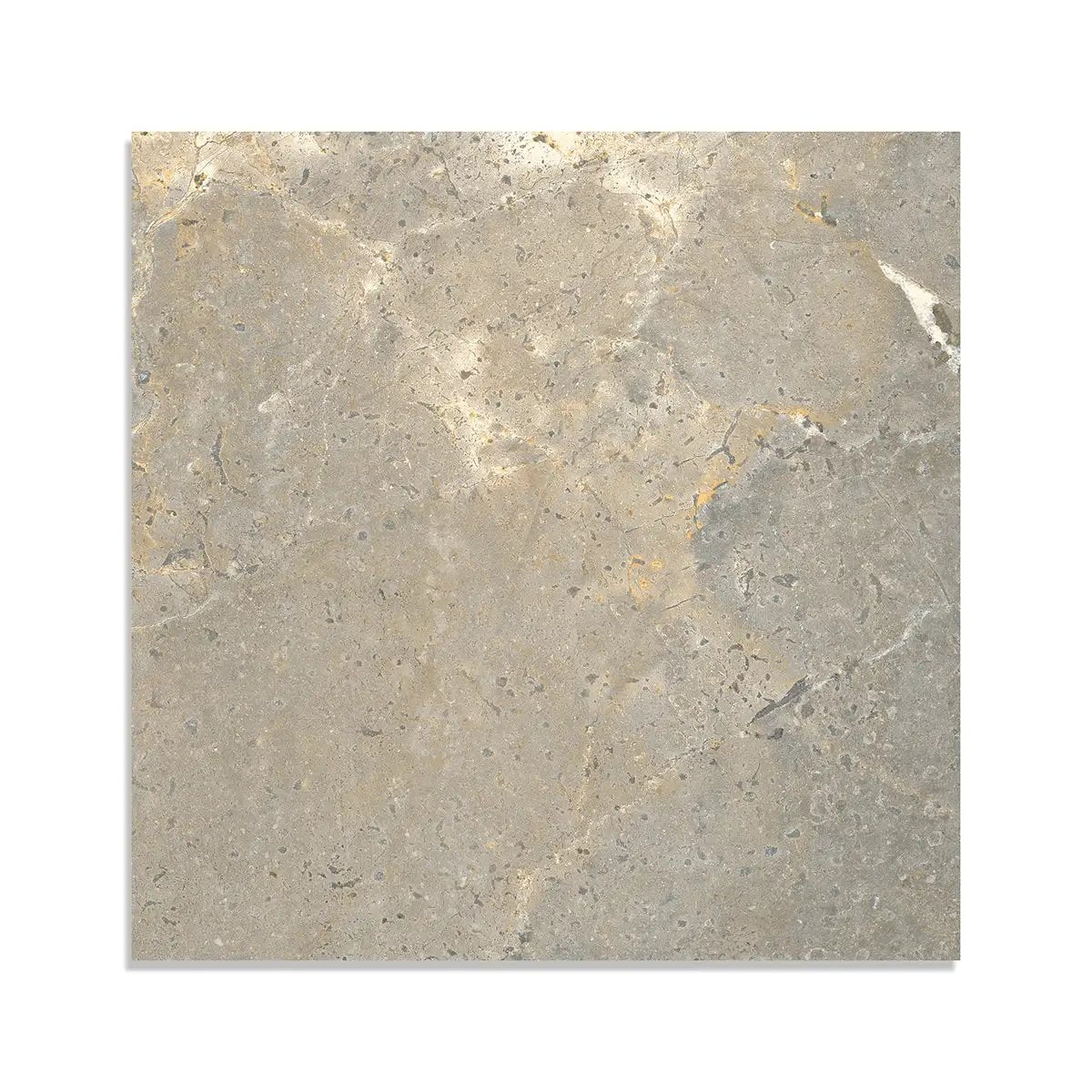 Earth Matte Porcelain Tiles 24x24