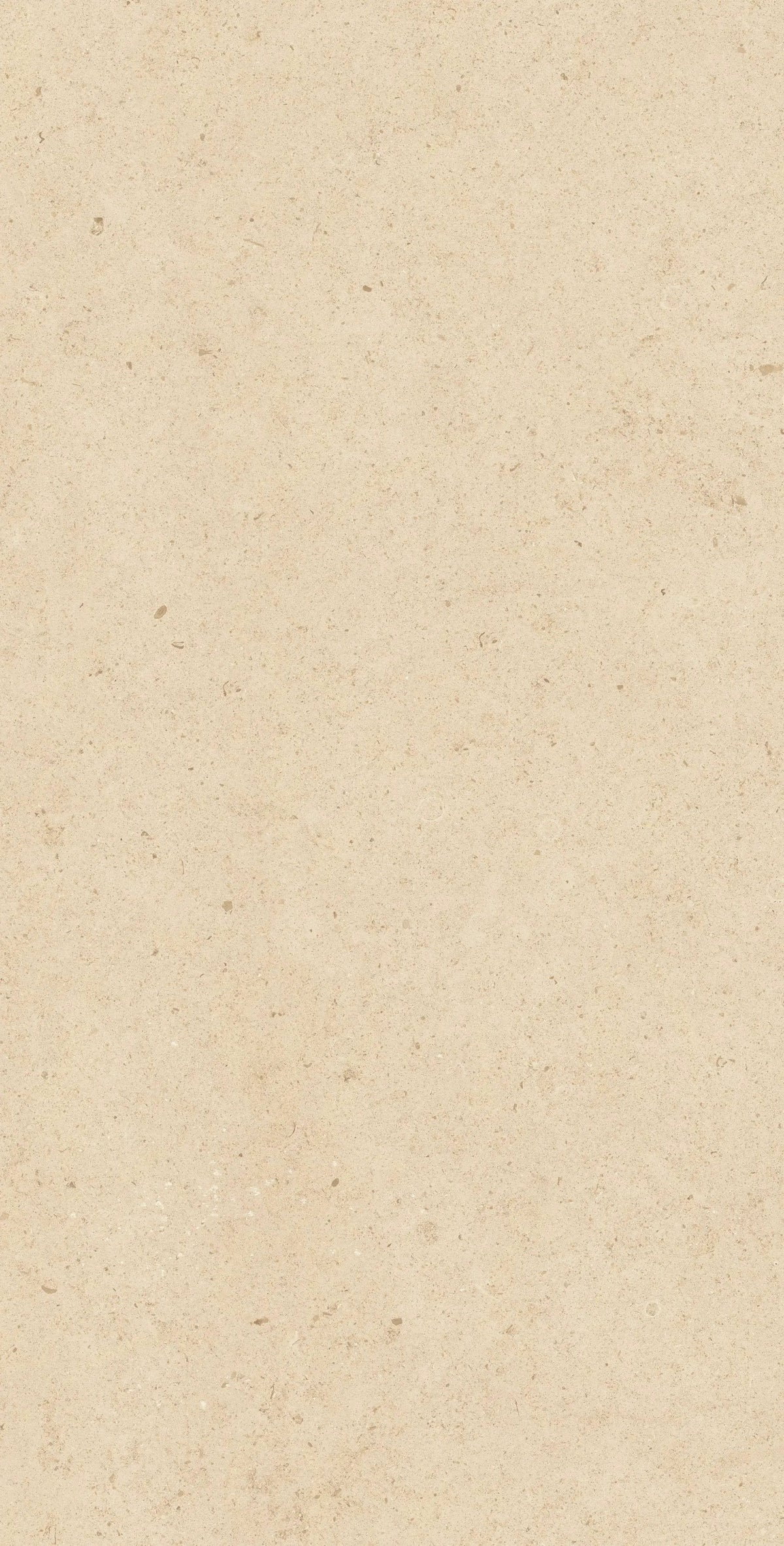 Frontier20 Dune Limestone Look Porcelain Pavers 24x48