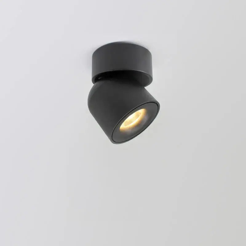 Modern black adjustable led ceiling downlight living room spotlight