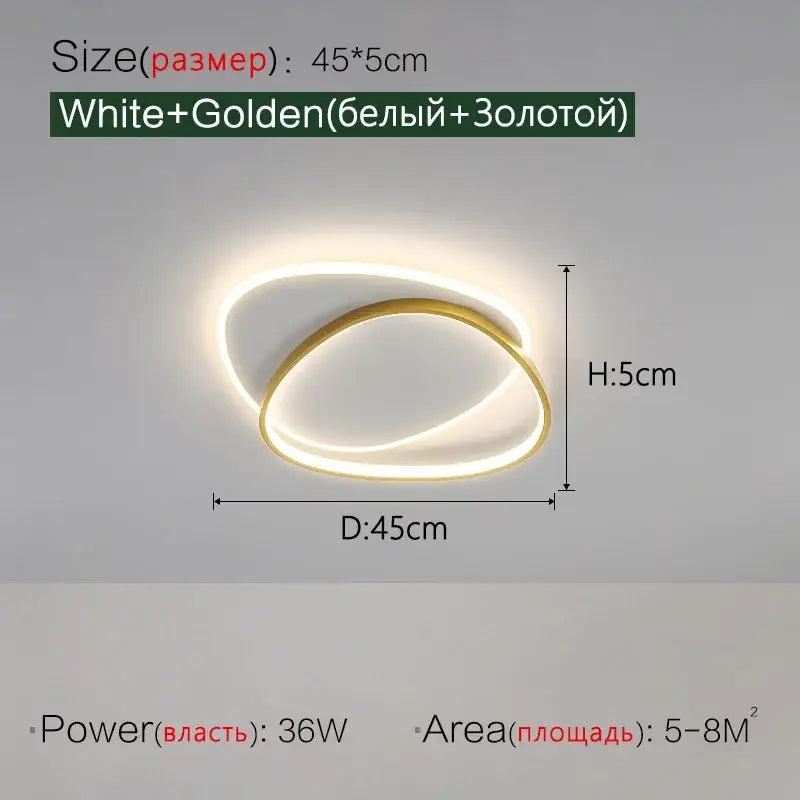 Modern black and white led ceiling lamp for bedroom