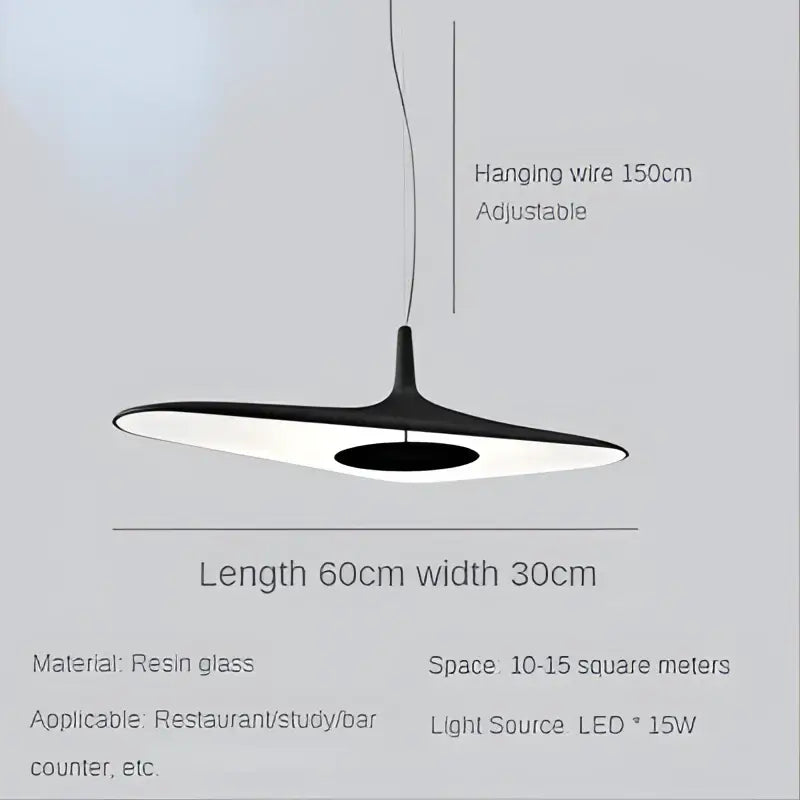 Modern black irregular art pendant lamp for living room