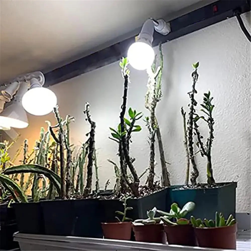 Modern white dimmable led track lighting fixture for living room art