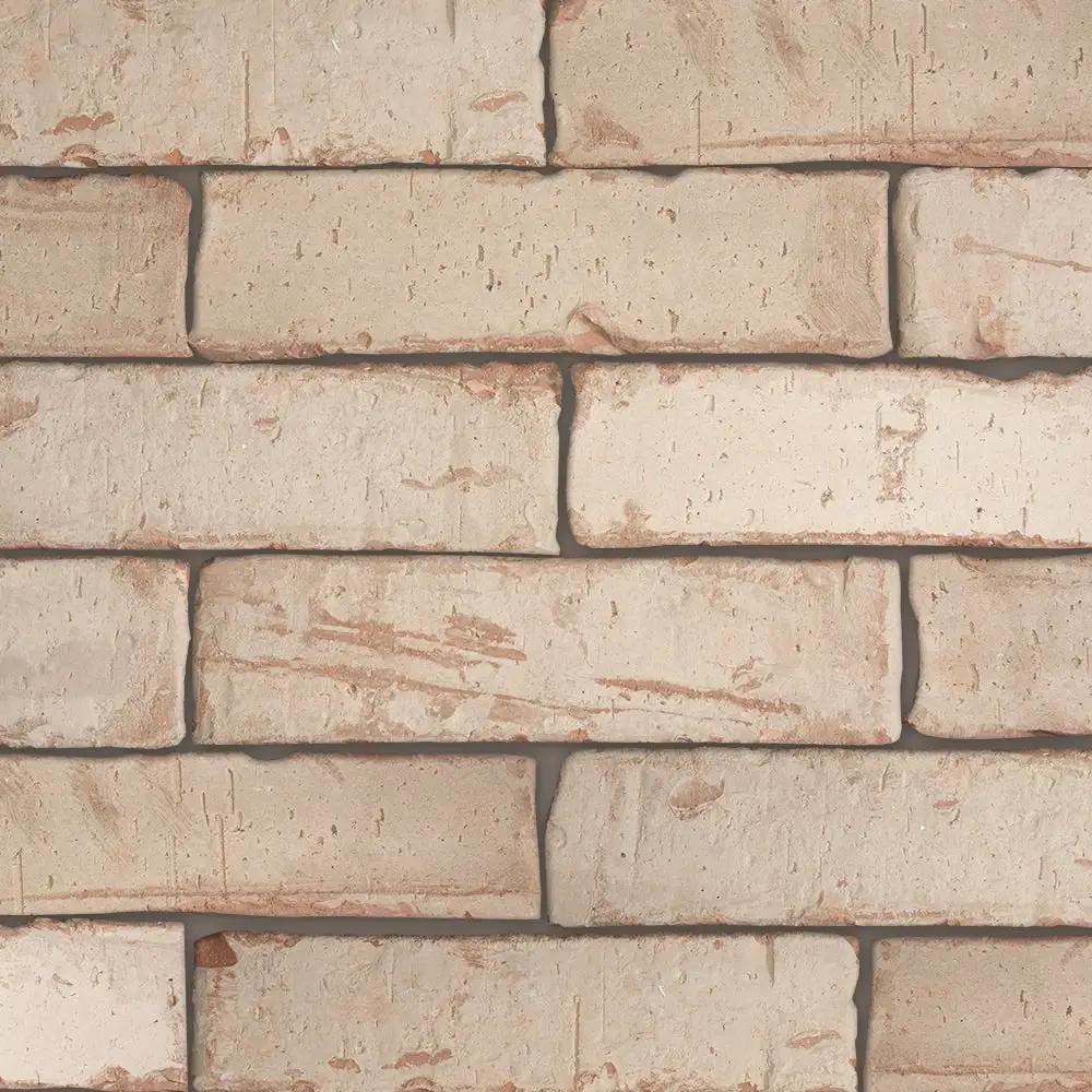 Mortar Natural Subway Glazed Terracotta Tiles 2 5/8x9 5/8