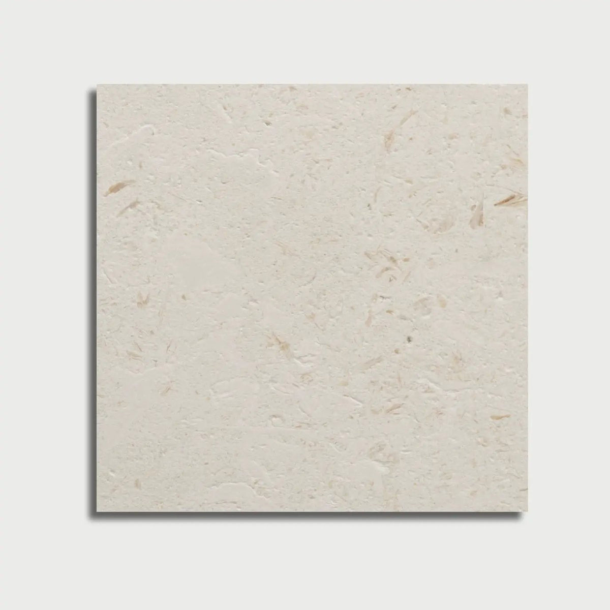 Myra Shellstone Brushed Limestone Pavers 24x24