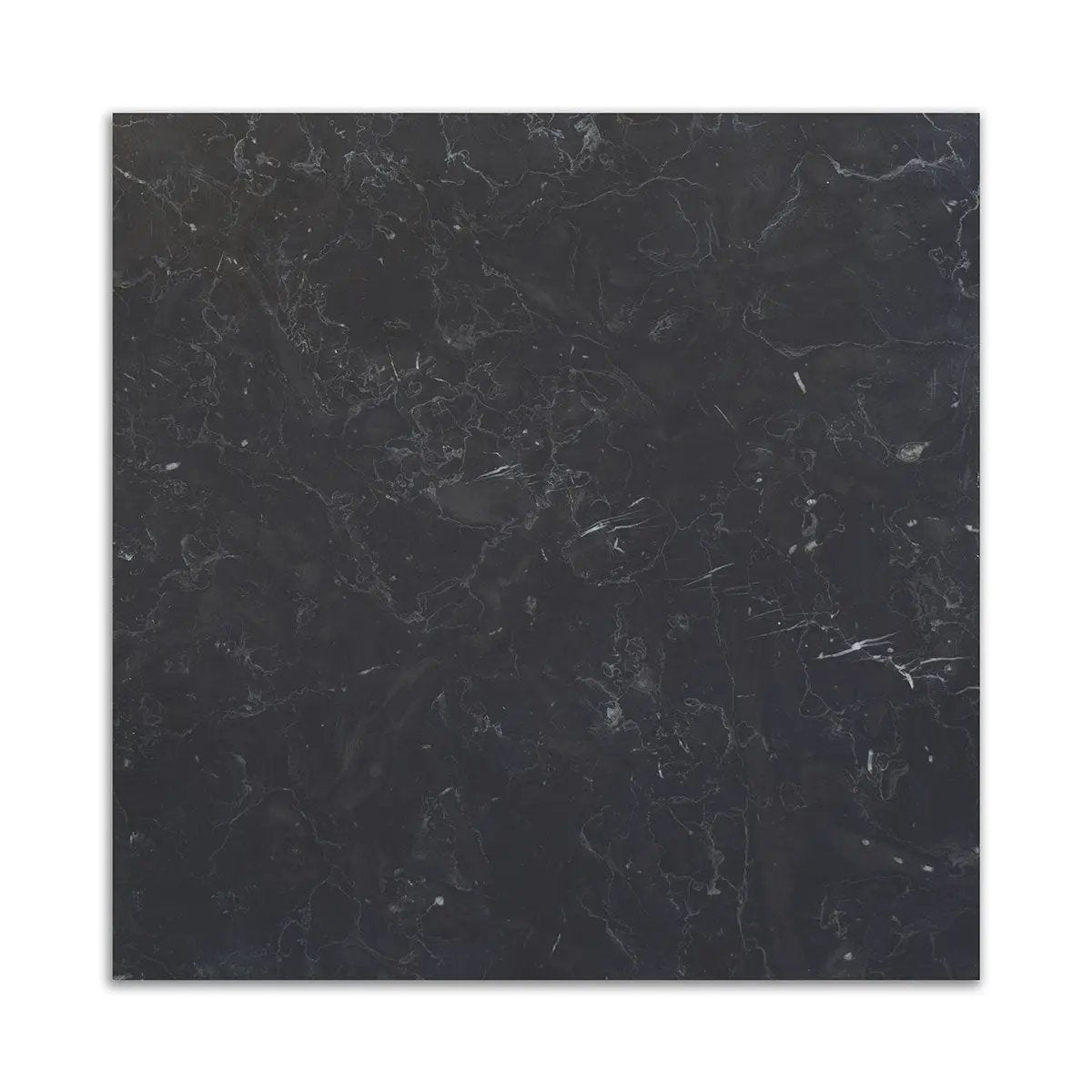 Nero Marquina Premium Honed Marble Tiles 12x12