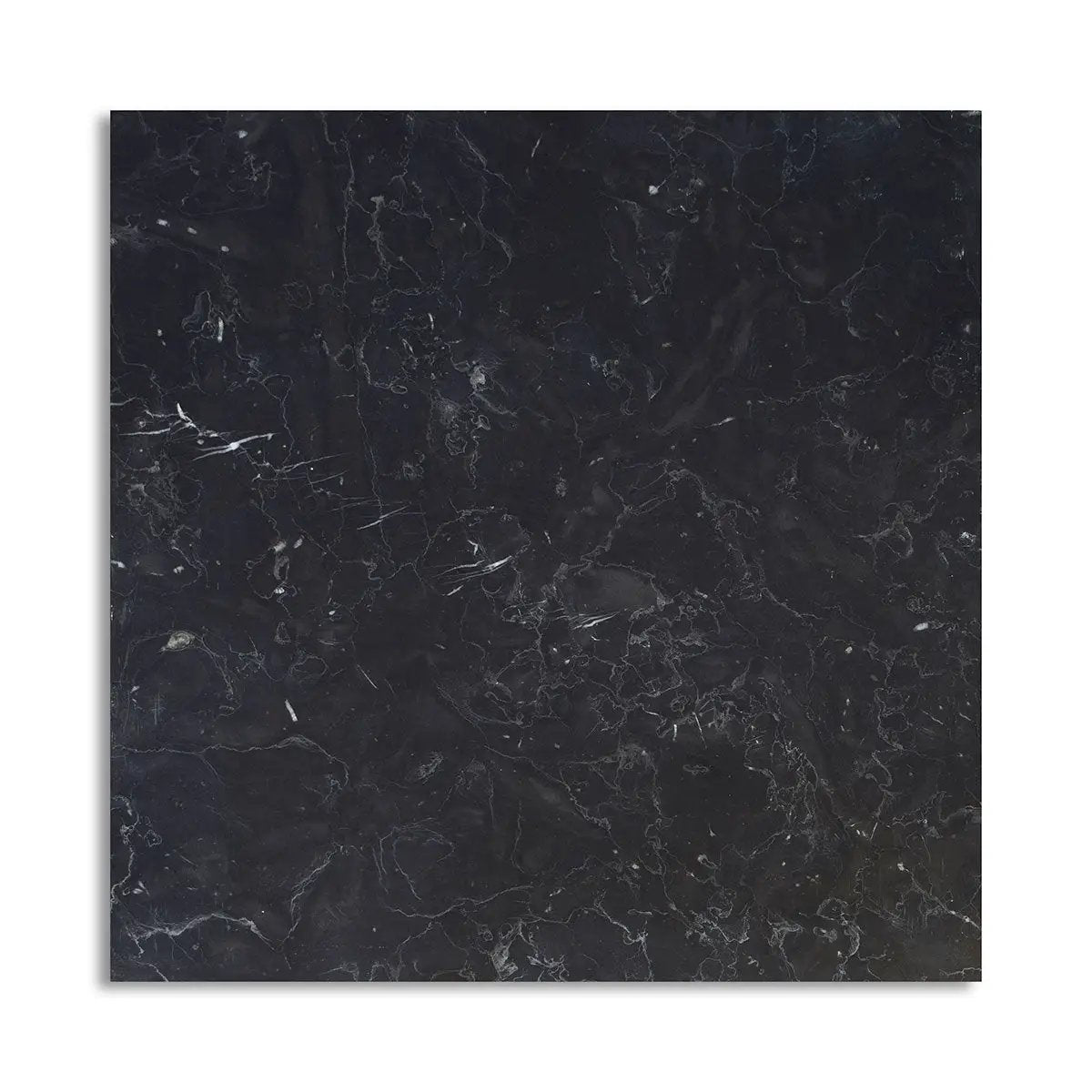 Nero Marquina Premium Polished Marble Tiles 12x12