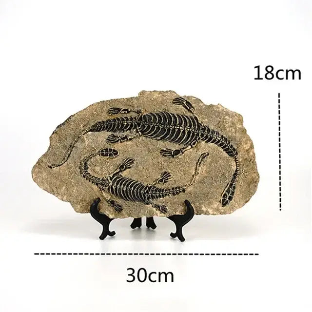 Retro gray and beige dino fossil animal statue living room decor