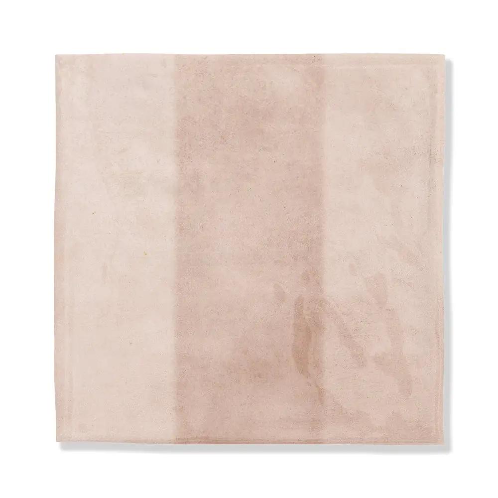 Steppe Glossy Ceramic Accent Tiles 5x5