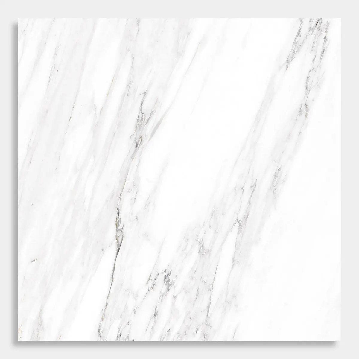 Venato Bianco Polished Porcelain Tiles 24x24