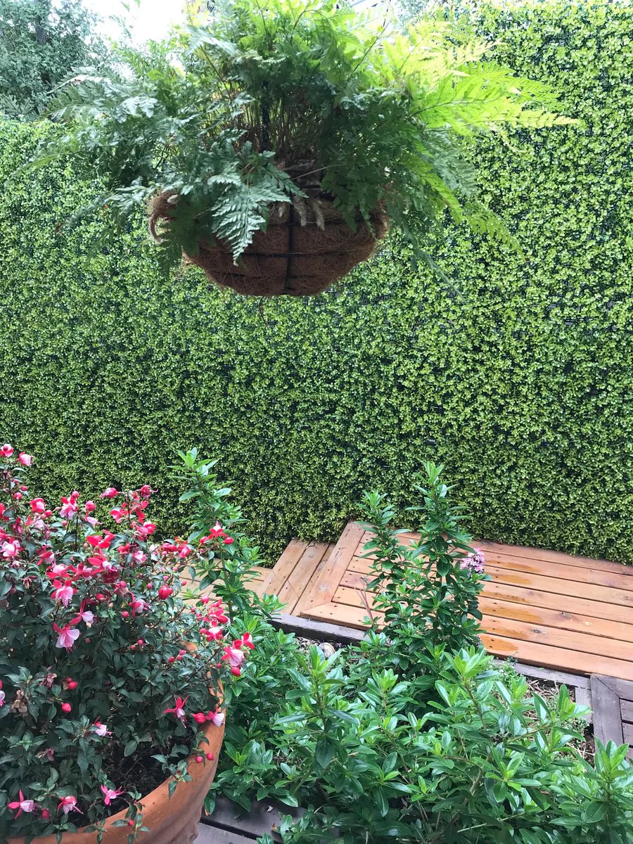 Yellow English Boxwood Artificial Vertical Garden Green Wall Panel 40×40in 11 SQ FT – UV Resistant – Commercial Grade
