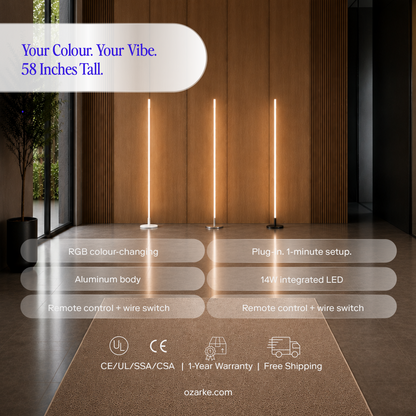 Léger RGB Floor Lamp