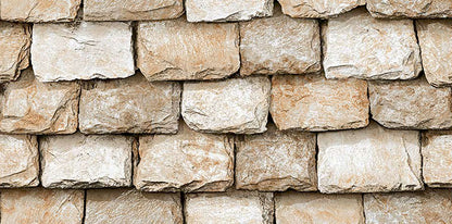 NACSELEV2055-12x24
