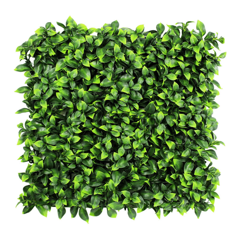 Sample Panel – Jasmine Green Wall (Small Sample)