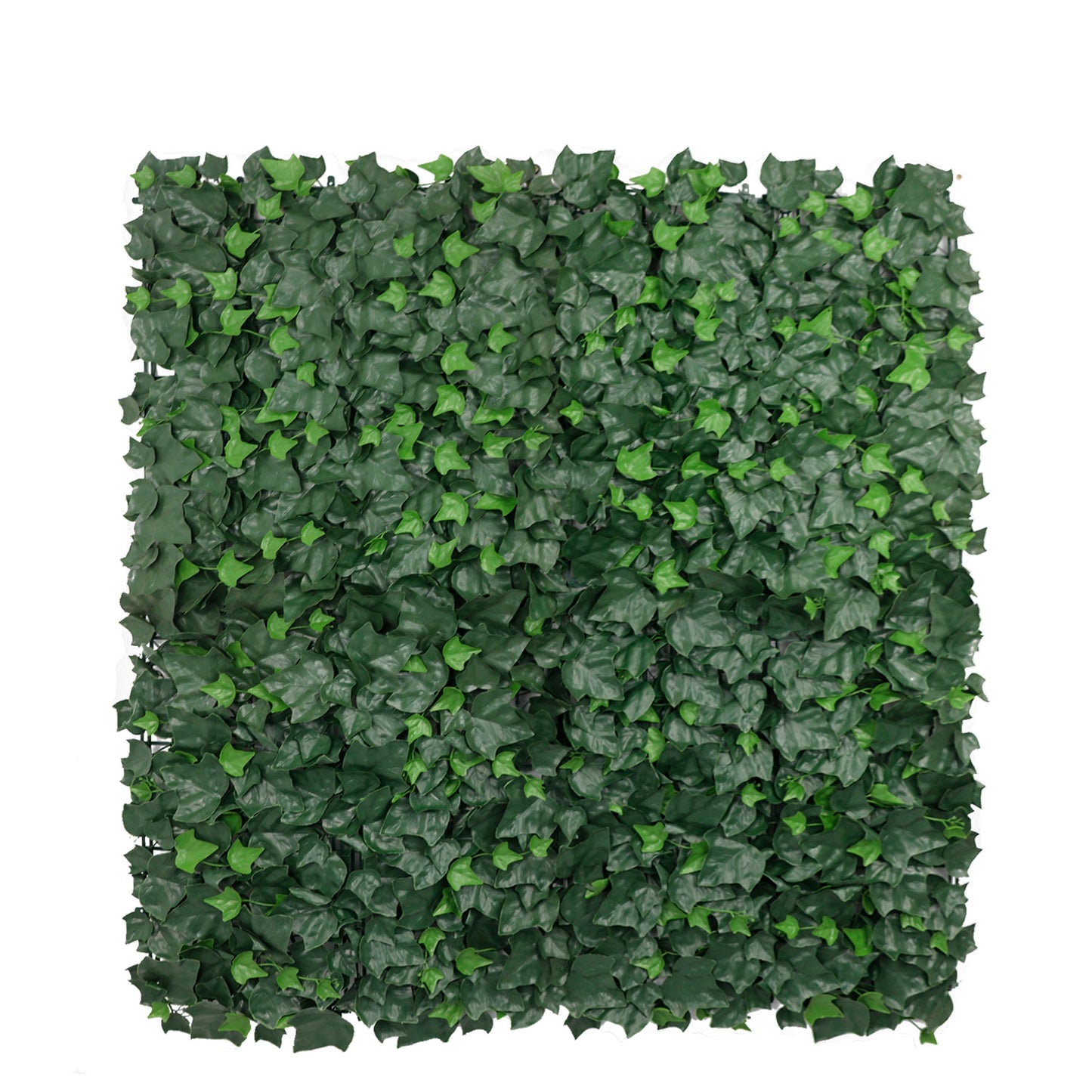 Sample Panel – Boston Ivy Green Wall (Small Sample)