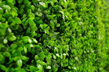 Sample Panel – Bright Boxwood Green Wall (Small Sample)