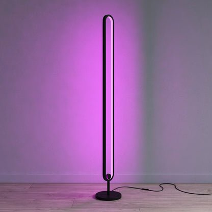 RGB Floor Lamp