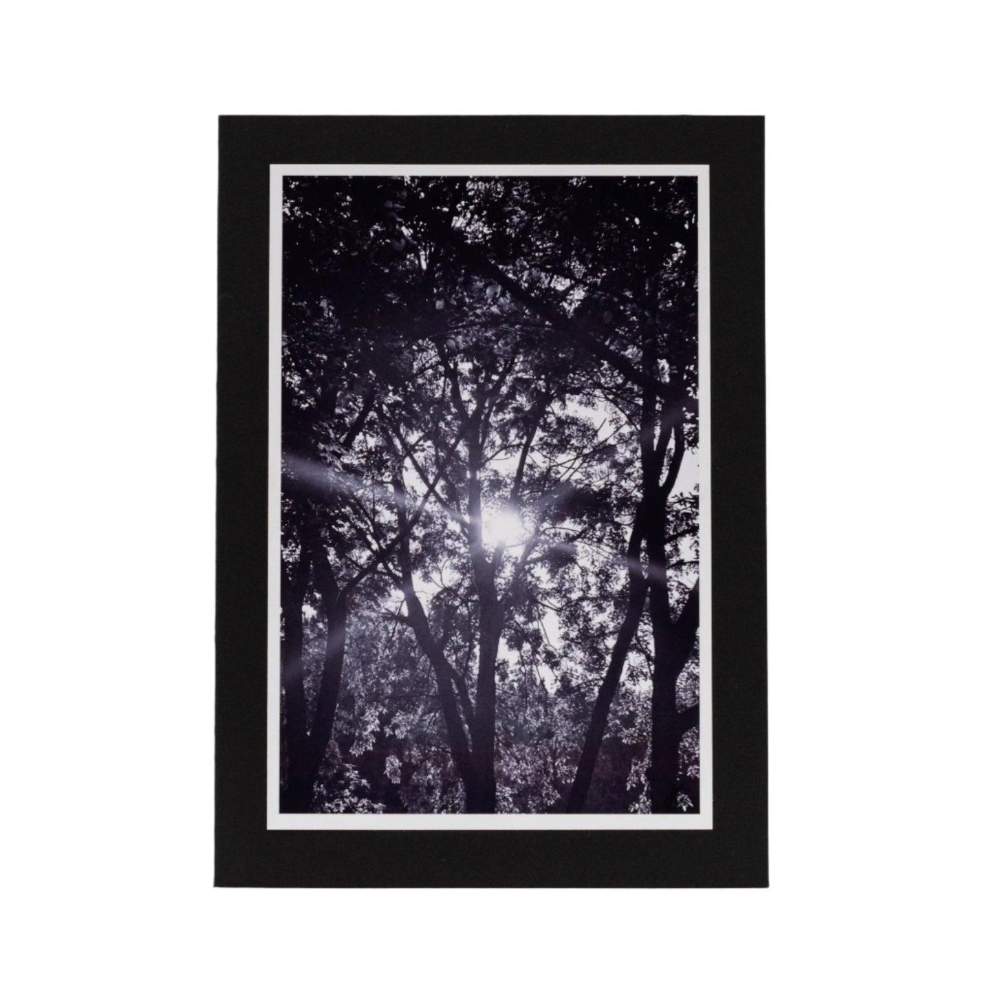 Black Greeting Card | Multiple Designs | KJ Made