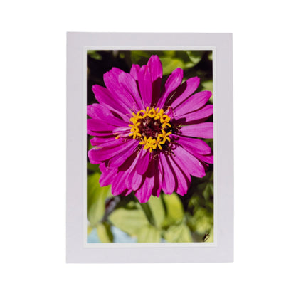 White Greeting Card | Multiple Designs | KJ Made