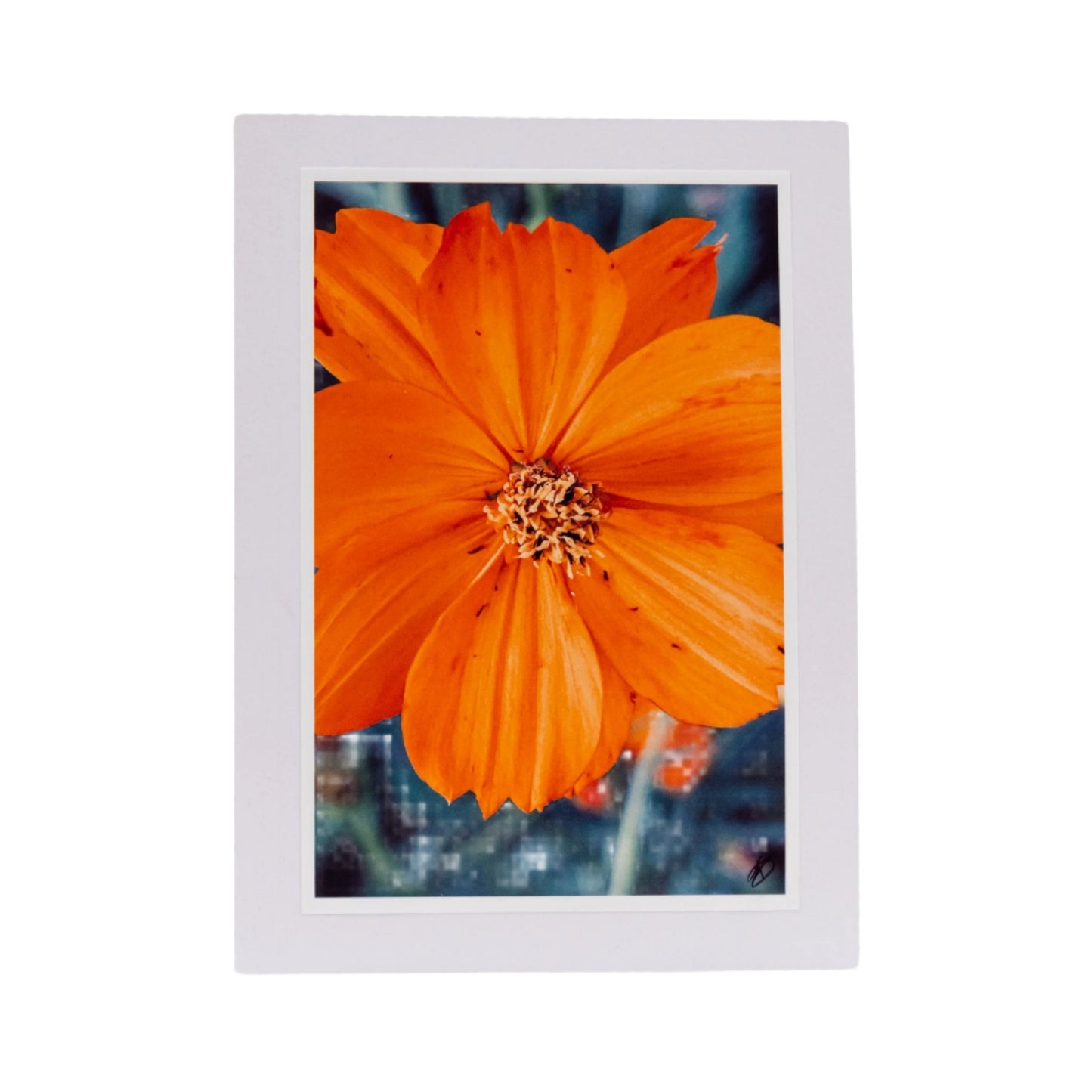 White Greeting Card | Multiple Designs | KJ Made