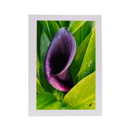 White Greeting Card | Multiple Designs | KJ Made
