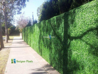 Sample Panel – Dark Boxwood Green Wall (Small Sample)