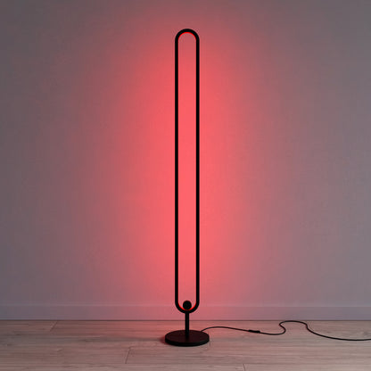 RGB Floor Lamp