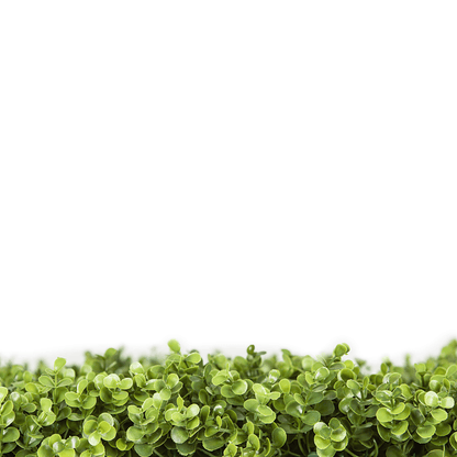 Sample Panel – Natural Boxwood Green Wall (Small Sample)