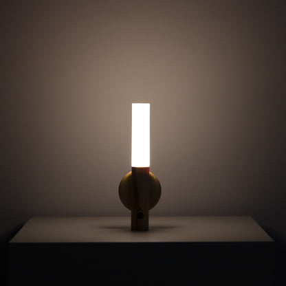 Motion Sensor Battery Light