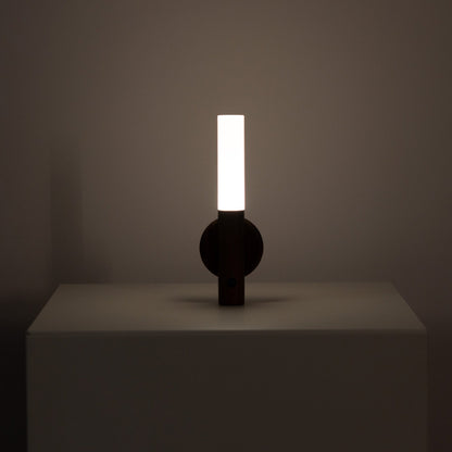 Motion Sensor Battery Light