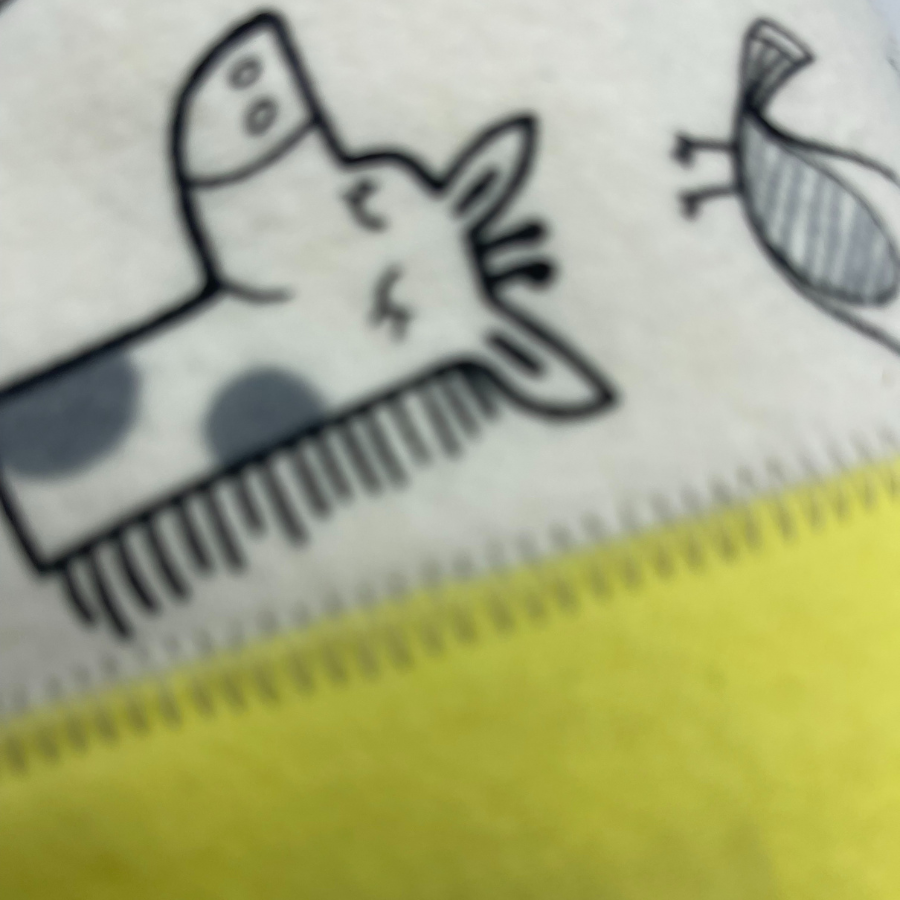 Baby Blanket | Multiple Prints