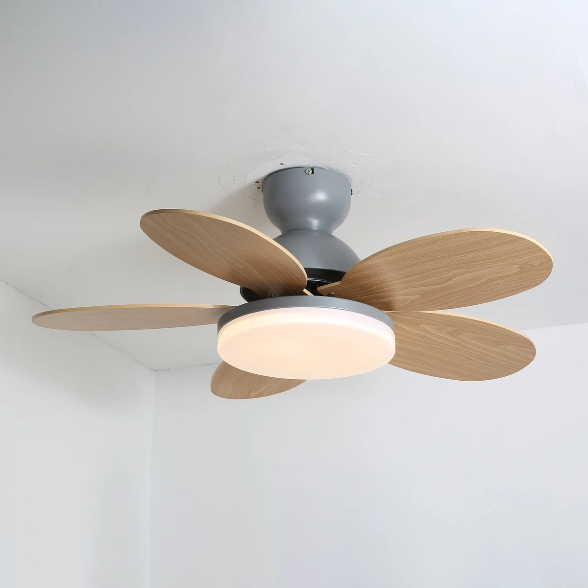 Aeralume Bloom LED Ceiling Fan