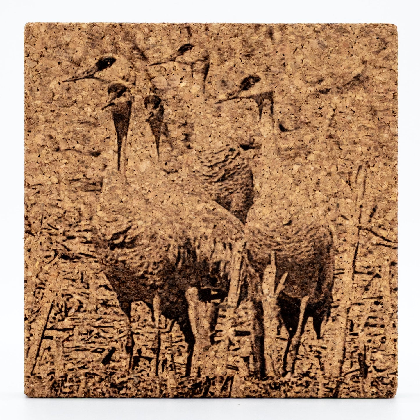 Etched Cork Coaster | Multiple Designs | Single Coaster | RCK Creations & More