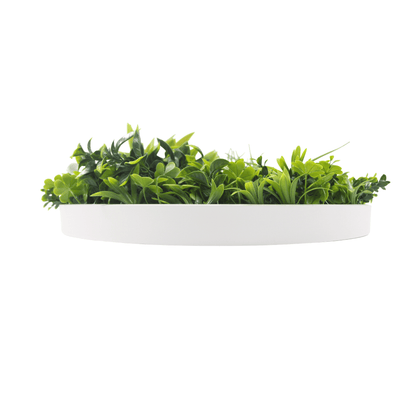 Artificial Green Wall Disc 30in – White Frame – UV Resistant – Commercial Grade